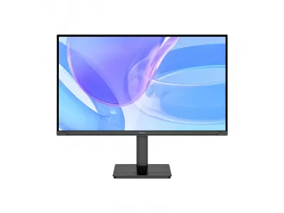 Màn hình Aiwa Gaming cao cấp 24inch IPS FullHD 100Hz - AW-MF2434-B2